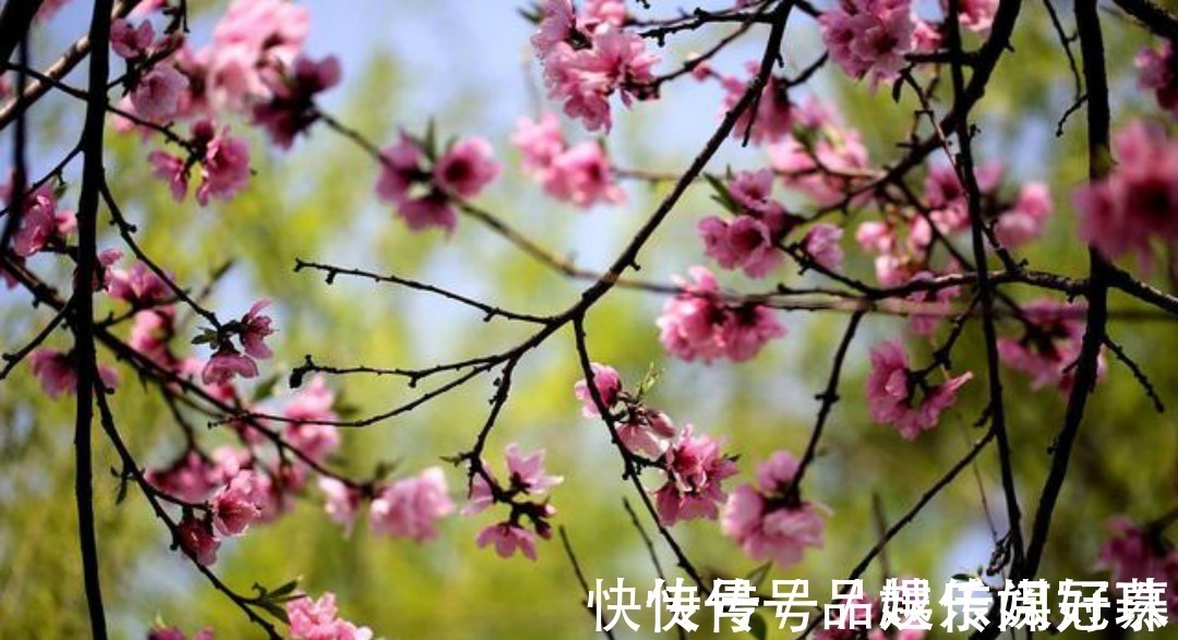 宋神宗@王安石一首抒情小诗,只是那么淡淡着笔,通篇美得犹如一幅山水画