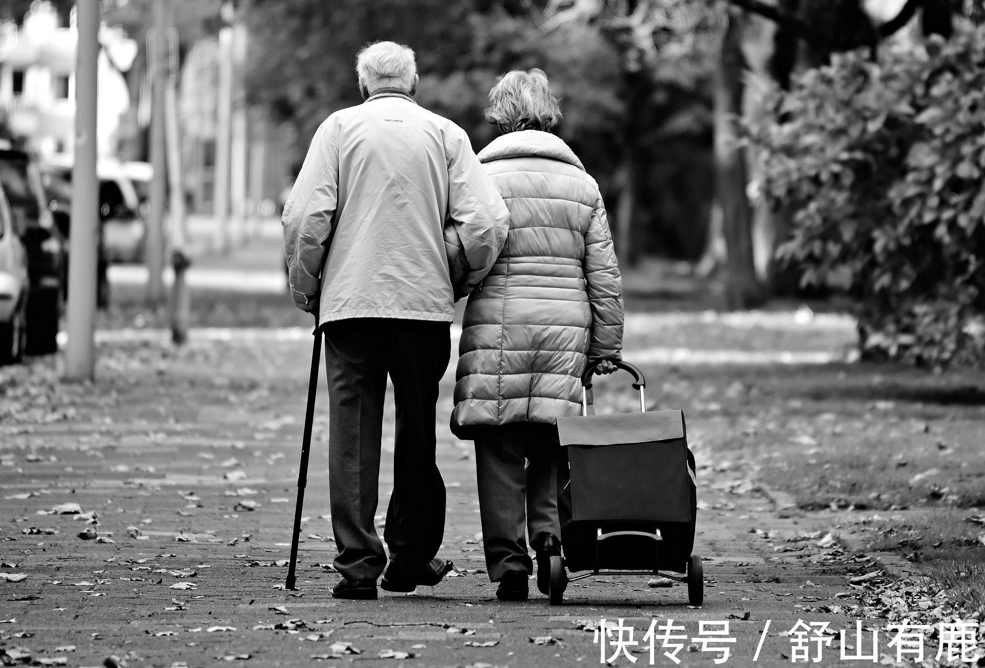 兄弟姐妹|如今社会的“断亲”现象为何频频发生?人情社会究竟走向何方?