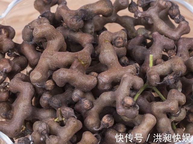 新修本草|一种长得像木头疙瘩的甜果，李时珍称它“千杯不醉”，越喝越霸气
