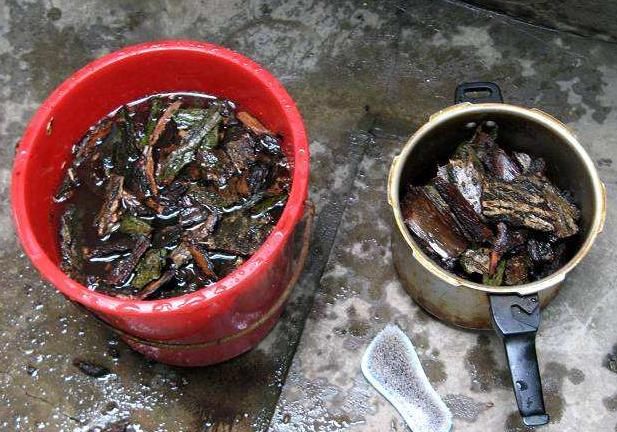 扦插茉莉花时,有一些“特殊水”,滴上几滴,能让茉莉花生根更快