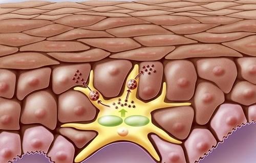 补水做不好，还怎么给美丽加分？针对5种肤质的补水技巧，学起来