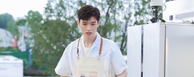 何老师|拜托了冰箱轰趴季龚俊在哪期