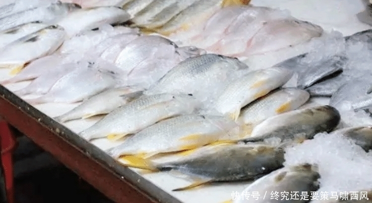 解冻鱼时,不要直接加水泡,多加一步,8分钟解冻好,鲜嫩无腥味