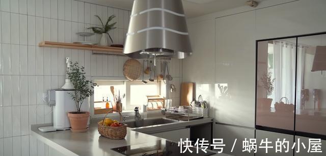一人|一人一狗,独居生活有条有序,要是没结婚,我也想过这样的生活