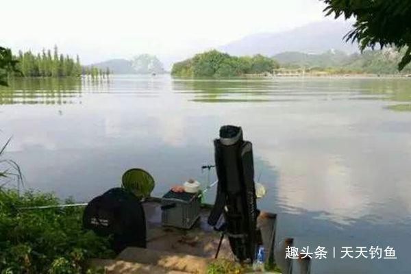 适口性|三伏天钓鲫鱼,鱼口轻微,只需用这几招,鲫鱼连竿上,很过瘾
