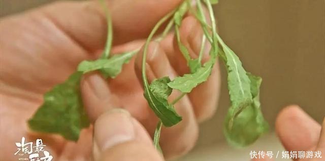 荠菜碧绿有诀窍,少了这一步,口感更清爽