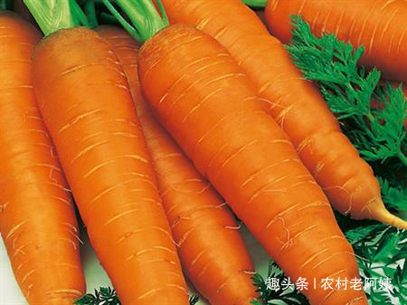 大肚子|胡萝卜与此物一起煮,大肚子没了,失眠好了,为了健康不妨试试