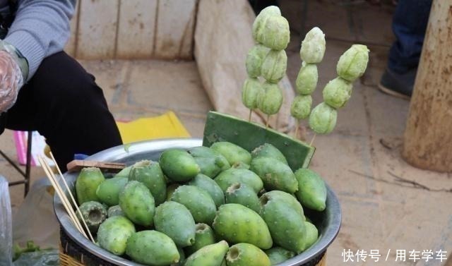 仙人掌|这野果在我国没人吃，在墨西哥却被培育成水果，进口到国内买高价！