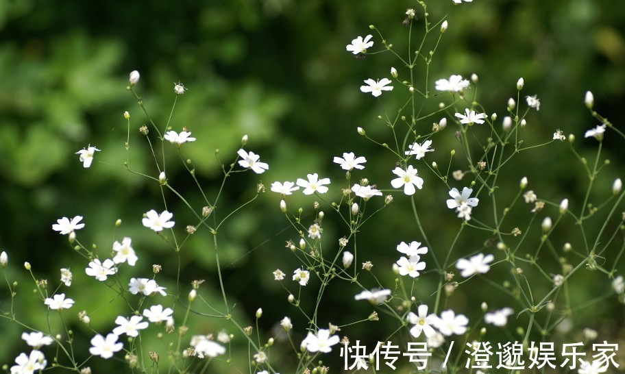 老美人|不易显老的生肖女，心态好有好运，一辈子有人疼，有人爱