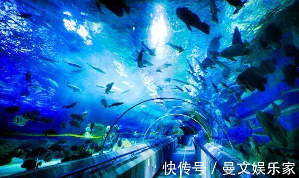 海底观光隧道|中国第一条海底观光隧道，全长仅118米，总投资1亿元