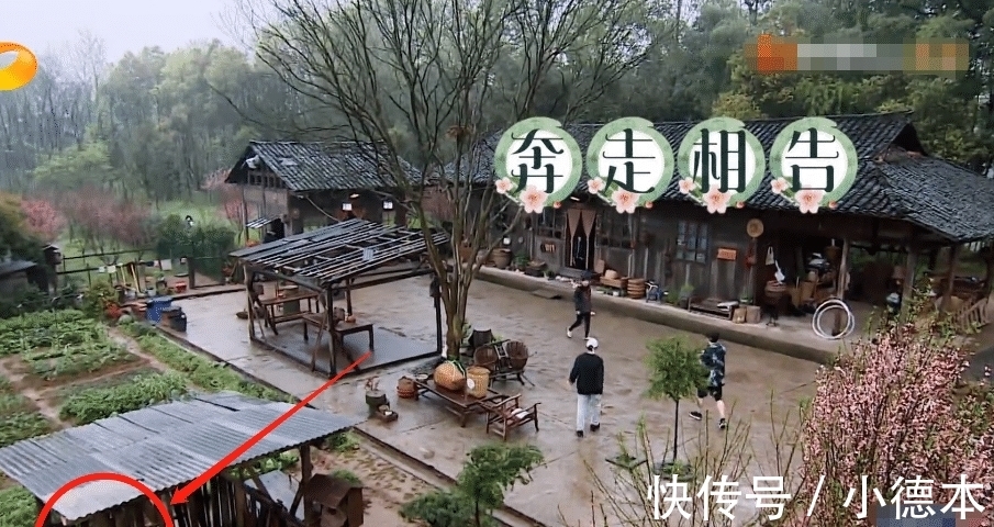 《向往5》開(kāi)播，黃磊長(zhǎng)胖，我卻只留意到他對(duì)彭昱暢的稱呼變化