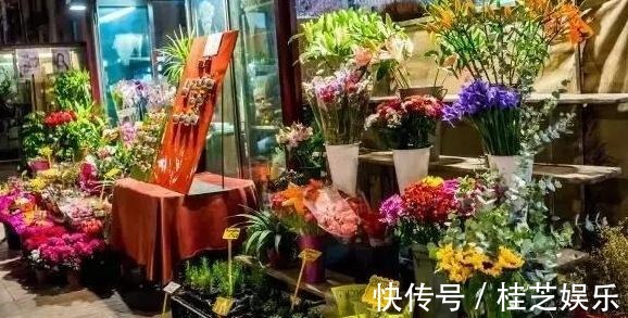 居家养花草,哪些植物好看又好养盆栽此5款,有些还能吃