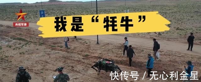 中印|中国“电动牦牛”开始测试,或用于中印边境!