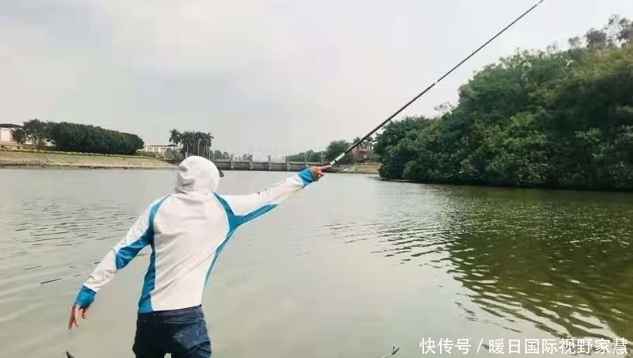 水域|据说六月用这钓法,草鱼格外好钓,二十年老司机:钓完特痛快