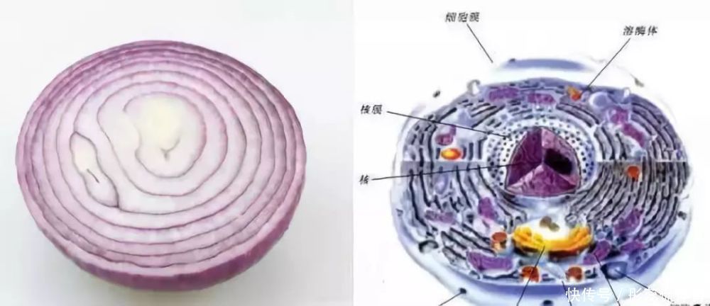 李时珍告诉你怎么不得病，保存好千万别丢了！