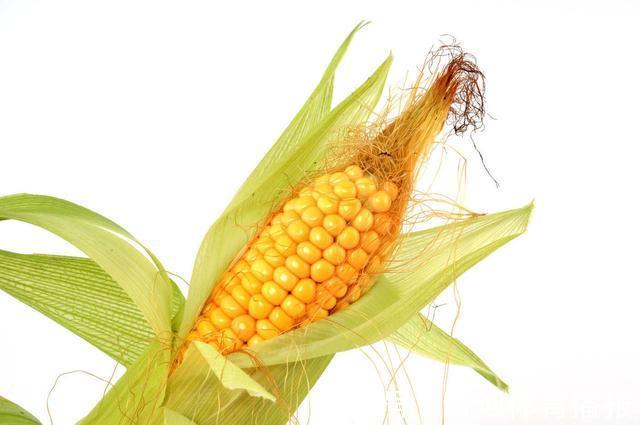 清热|湿热肾炎的“克星”找到了,常用它煮水喝,清热利尿去湿又消炎