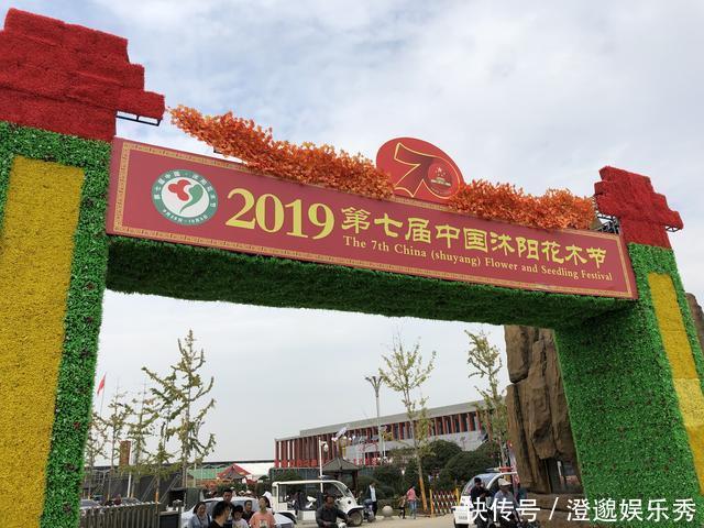 100块买个吸水石,15元买棵吊兰栽上面,养2年拿到市场能卖4000