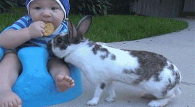 |搞笑GIF:趁还没娶回家,大哥赶紧退婚吧,为你好!