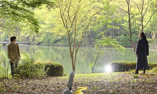 黄雷|假面骑士圣刃:光团是隼人,飞羽真迎来新形态,众骑士围攻所罗门