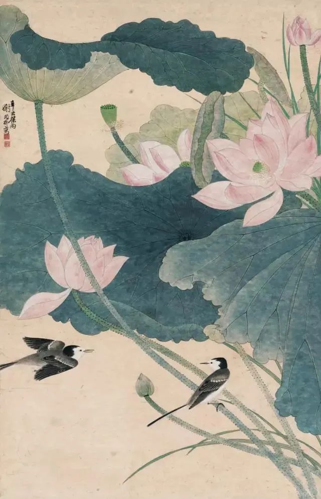 荷塘$谢稚柳的江南荷塘，美翻了