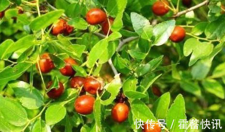 美容养颜|女性不想老得快，常吃4种食物，美容养颜，改善气色，越吃越年轻