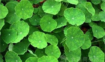 维生素e|想长寿的人，要坚持吃3种食物，补充营养、延缓衰老，好处多多！