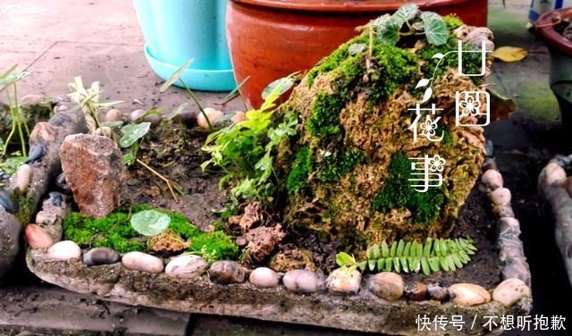 7种“废料”做花盆,一分钱不花,花盆用不完,比买的还精致!