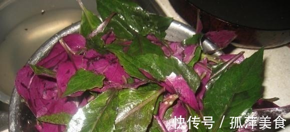 食用量|农村一种野菜，古人称为“补血菜”，食用超千年，现在被认为有毒