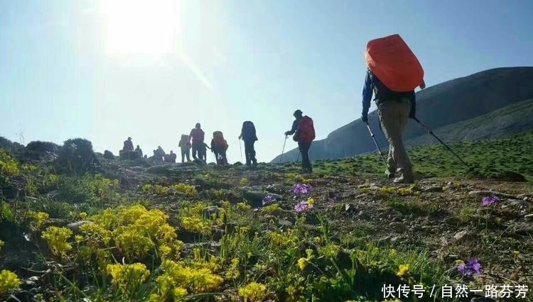 迭部|迭部措美，不忍错过的美丽