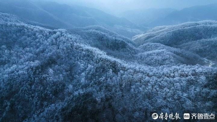 雾凇|玉树琼枝宛若仙境！济南九如山现绝美雾凇奇观