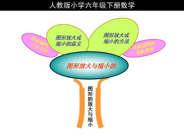 下册|人教版六年级数学下册思维导图汇总