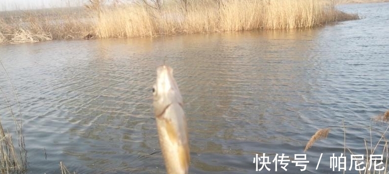 冬天先搞清楚鱼在深水还是在浅水,才能不空军