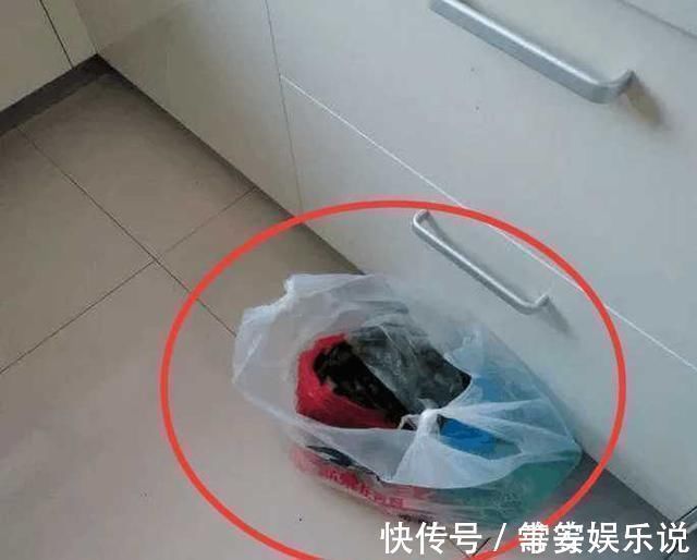 橱柜|巧妙的儿媳这样改变了橱柜,再买的菜不再扔在地上,邻居们正在模仿