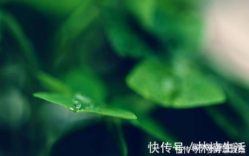 申时|出生在几点钟的孩子,智商高,长大后孝顺又有出息,光宗耀祖