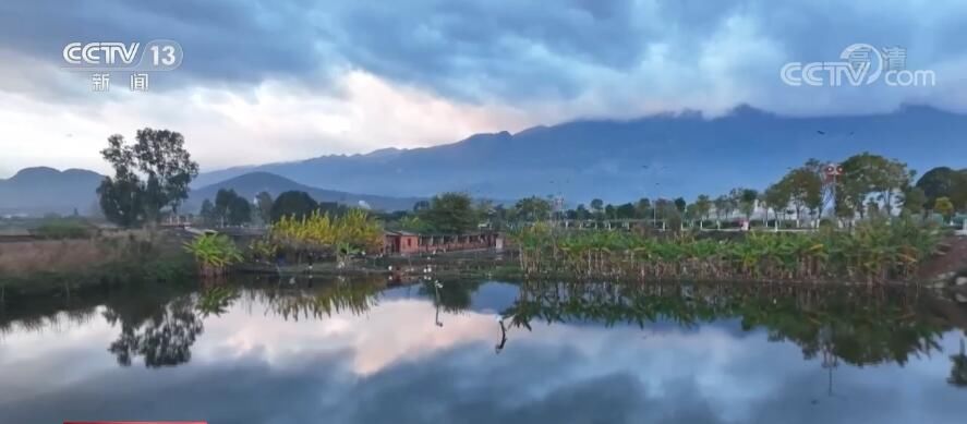 冬日大屯海水天一色 越冬候鸟如约而至|假期访美景 | 大屯