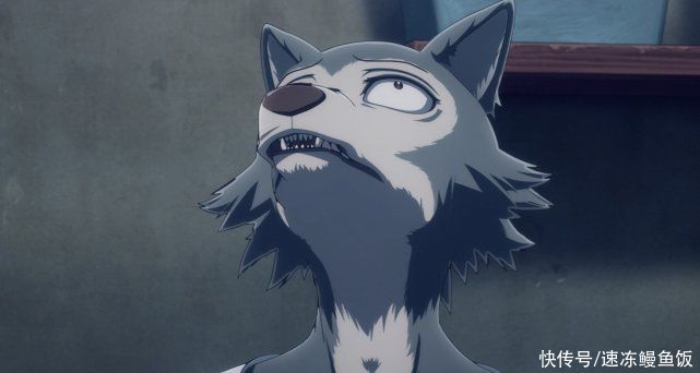 Beastars：雷格西寻找真凶，路易成狮王