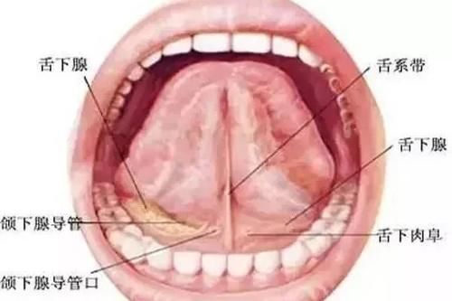 动手|4岁了还说话不清？别急，这种情况才需要动手处理！