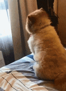 |搞笑GIF:在作死的路上一发不可收拾,这酸爽