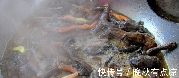 野味|现在农村都不常见的几种野味!你们吃过几种?说全吃过的算我输!