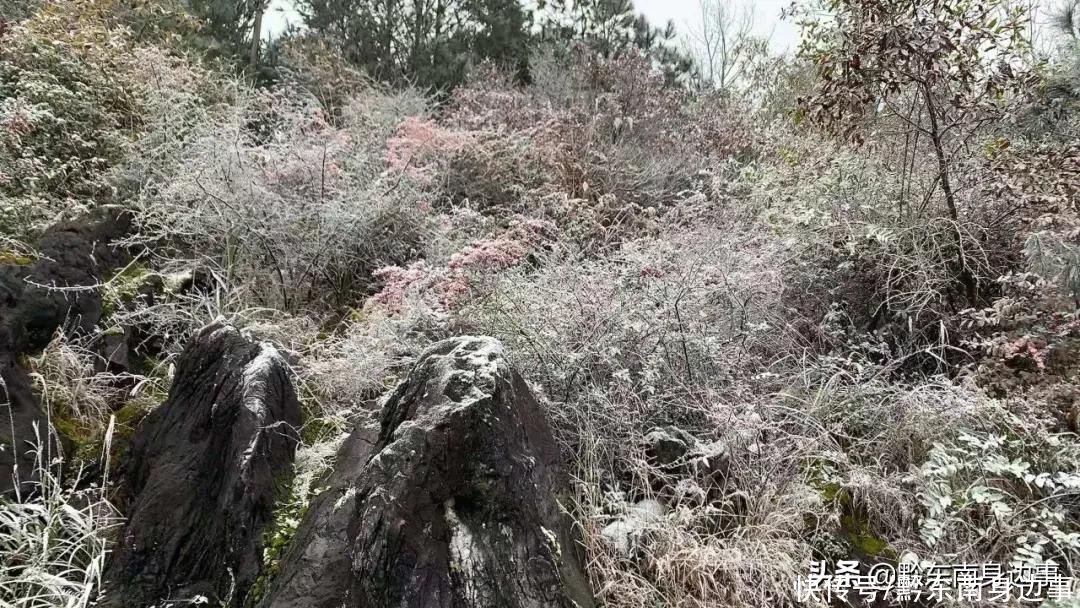 路段实施|凯里小高山一夜白头 最美雪景如约而至