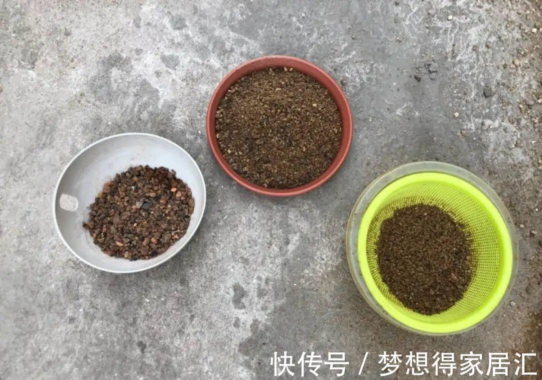 松针土|9种土别拿来养花，对花不好，容易黄叶烂根