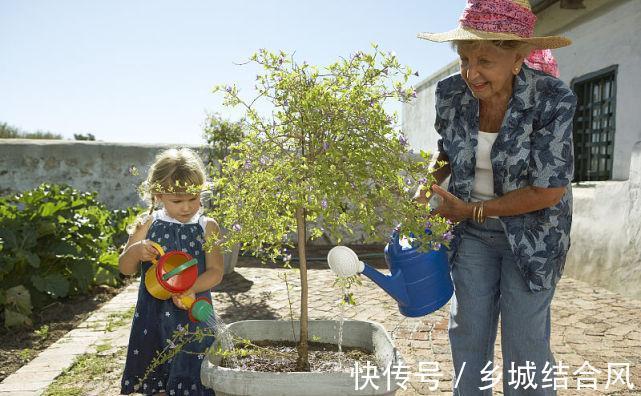 植物|养花3年都没学会浇水，看了这篇文章，1分钟学会