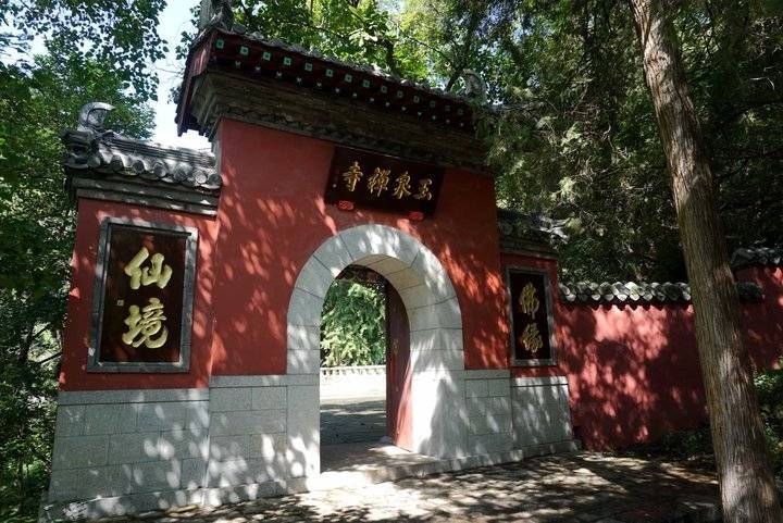 银杏树|游记｜游玉泉禅寺