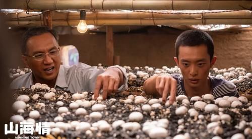 播放量3亿，远超《山海情》？湖南卫视又拿到“收视王牌”了？