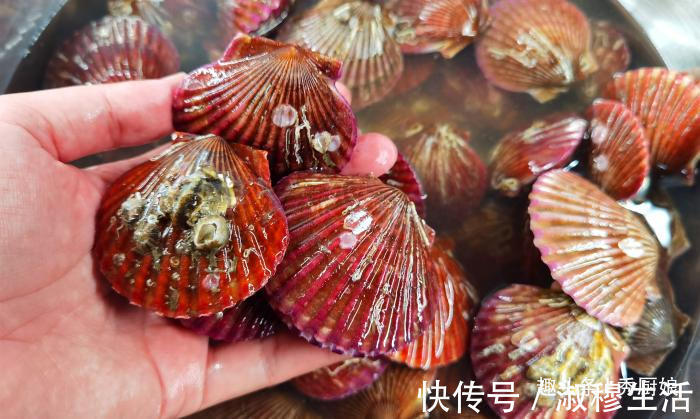 鲜嫩|蒸扇贝时，记得不要加水蒸，海边人教你正确做法，鲜嫩美味还不腥
