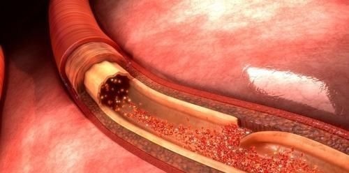 氨基酸|老人过了50岁，心率越慢越好？不瞒你说，心率在这个范围内才长寿