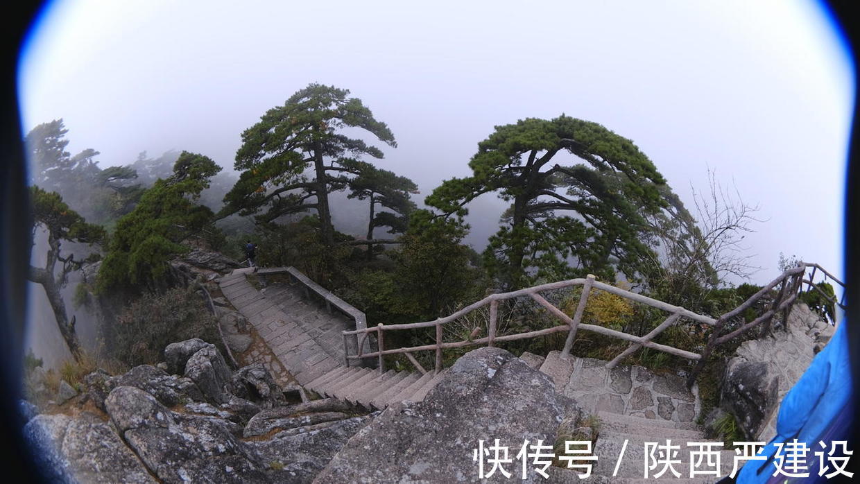 黄山|薄云浓雾游黄山宛若仙境【严建设】