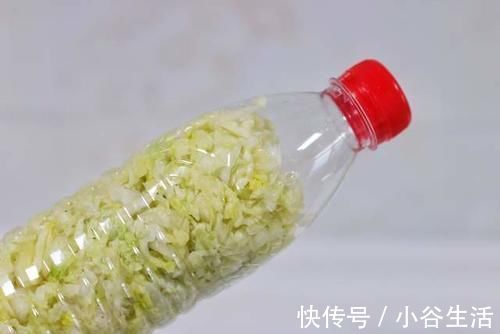 腌制|想吃东北酸菜，现在腌制也不晚，教你简单做法，想失败也不容易