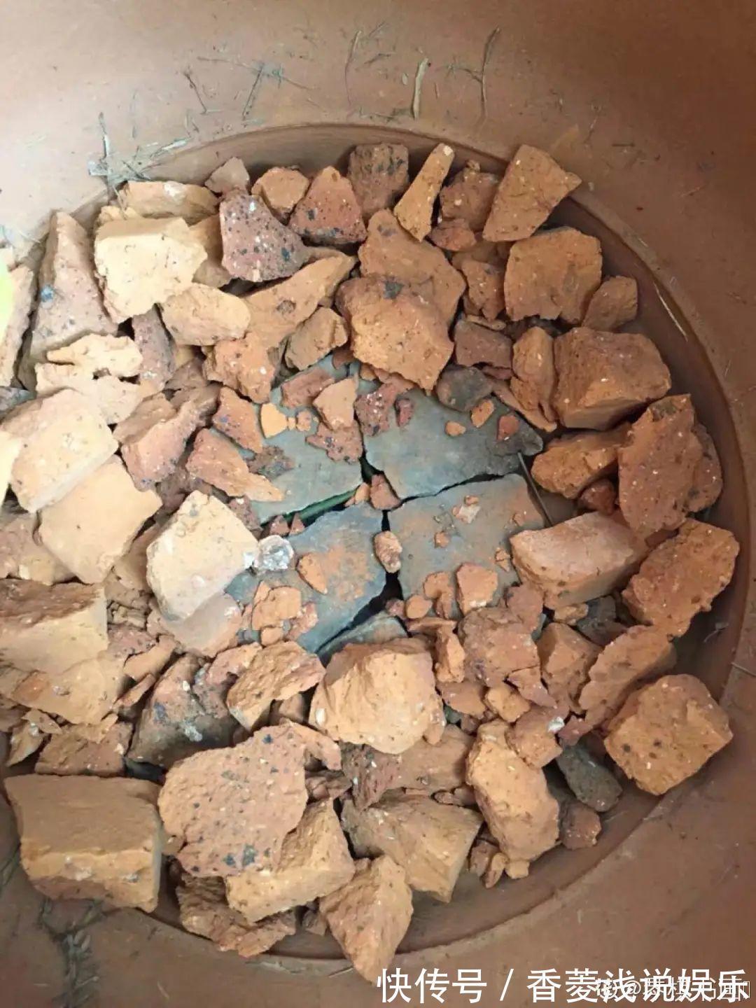 1把核桃垫盆底,不烂根、不招虫,疯长停不下来!