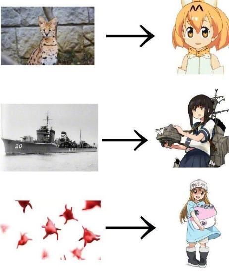 涂山苏苏|日漫什么都想娘化,美漫什么都想走两步,那国漫呢